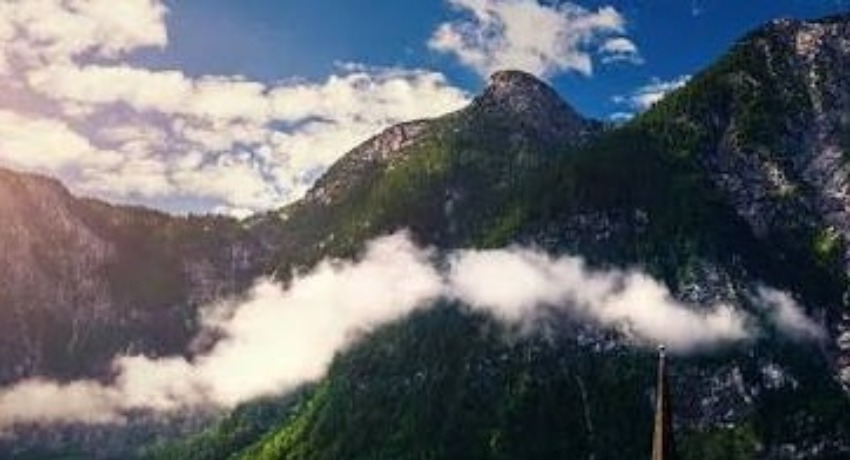 短视频精选 - 蘑菇视频下载 - 短内容创意精彩瞬间集合地