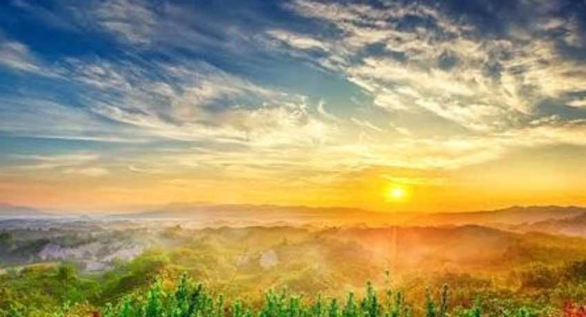 行业新观察 - 蘑菇视频官网入口 - 行业新鲜资讯与观点输出地